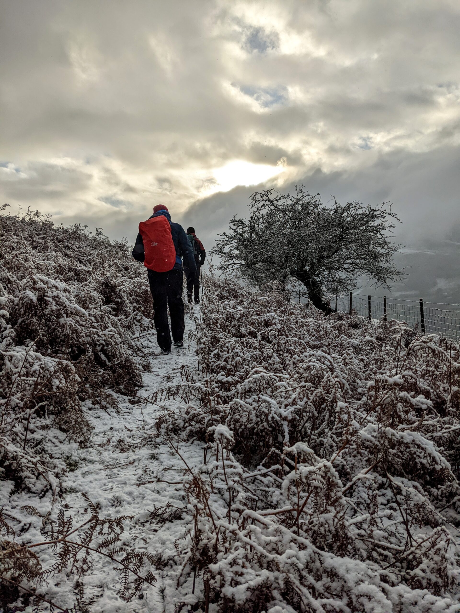Mountain Skills Course