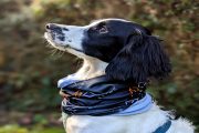 Snood - Image 2