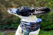 Snood - Image 3