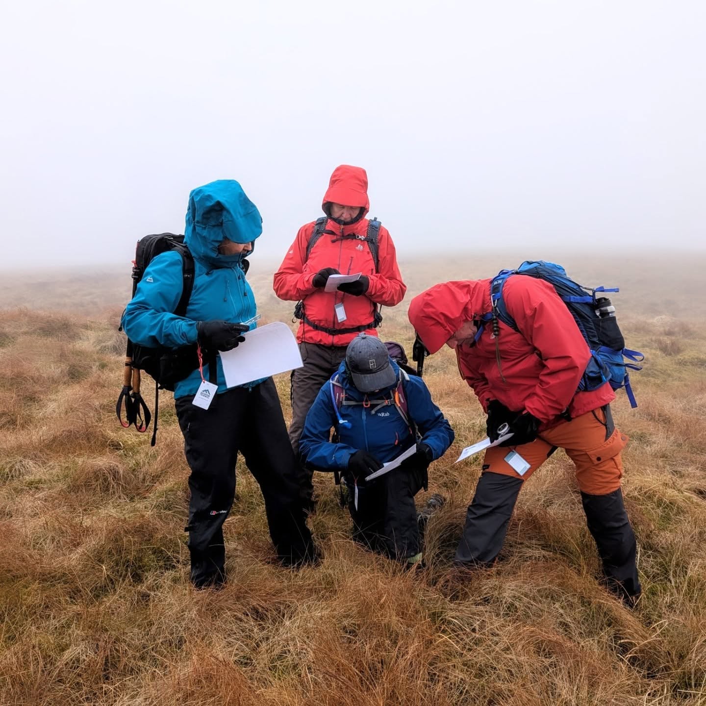 HML navigation refresher