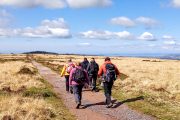 Mendip Hills Story