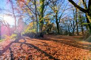 Mendip Hills Story